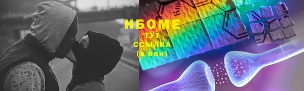 хмурый Аркадак