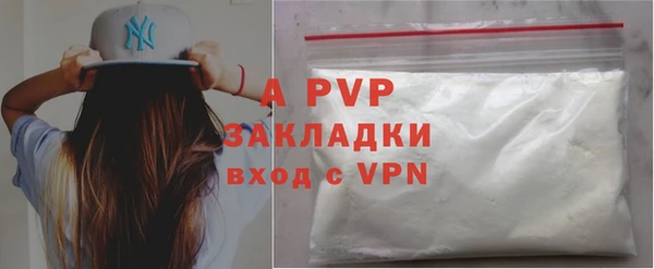 хмурый Аркадак