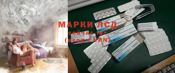 хмурый Аркадак