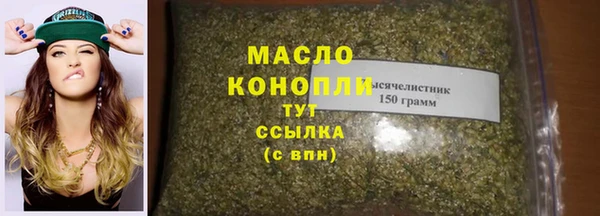 хмурый Аркадак